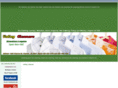 valleycleaner.com