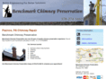 benchmarkchimney.com