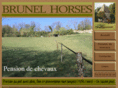 brunelhorses.com