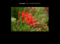 ianlittle.co.uk