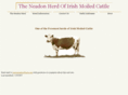 irishmoiledcattle.com