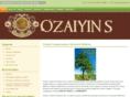 ozaiyin.com