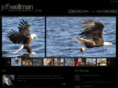 ewellman.com