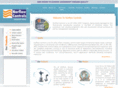 norflowcontrolsindia.com