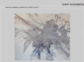 terryrosenberg.com