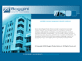 boggini.com