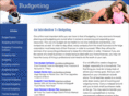 budgeting-tip.com