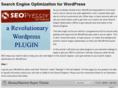 searchengineoptimizationforwordpress.com