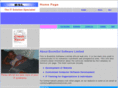 boomsolservices.com