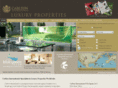 carlton-international.us