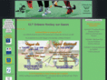 cltohockey.org