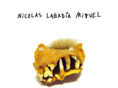 nicolabadia.com