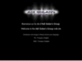 adigolansgroup.com