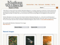 northernwoodlandsprints.org