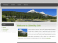silverskysoft.com