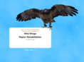 wildwingsrehab.com