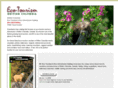 bcecotourism.com