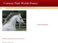 conwaypark.com