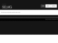 nateselvig.com