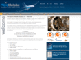aerometallic.com