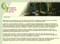 creativeoutdoorsolutions.com