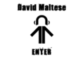 davidmaltese.org