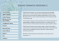 digitalforensicssolutions.com