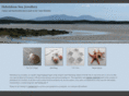 hebrideanseajewellery.com