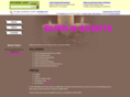burn-n-scents.com
