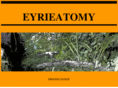 eyrieatomy.com