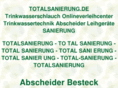 totalsanierung.de