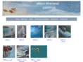 alisonlitherland.com