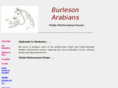 burleson-arabians.com