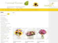 carouselflowerswirral.co.uk