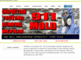 moldtestinglongisland.com