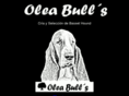 oleabulls.com