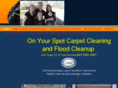 onyourspotcarpetcleaning.com