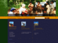 transhumansvoyages.info
