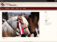 witsch-horse.com