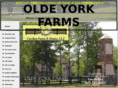 oldeyorkfarmssc.com