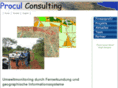 procul-consulting.net