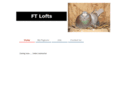 ftlofts.com