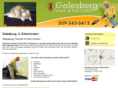 galesburgtermitepestcont.com