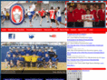 handballcanada.com