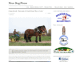 moodogpress.com