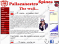 pallacanestrospinea.it