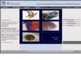 plastinate.com