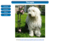 tierapie.net