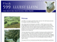 lluestlleyn.com