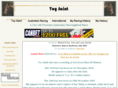 toysaint.com